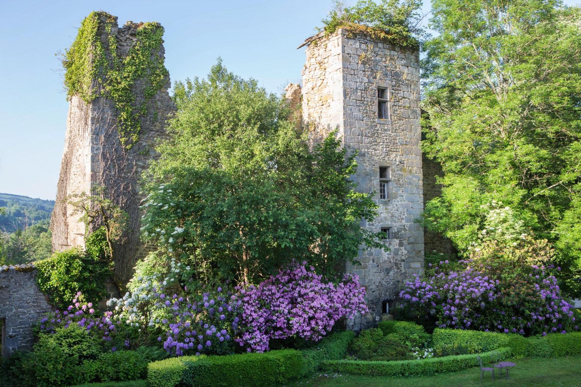 Abbaye Du Palais Bed and Breakfast Thauron Rum bild
